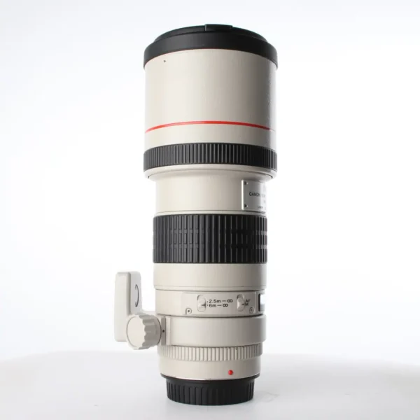 CANON EF 300MM F/4 L USM – Image 2