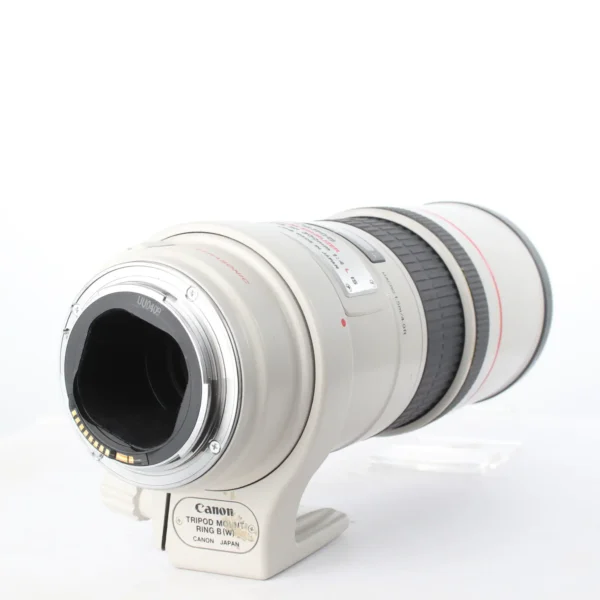 CANON EF 300 /4 L IS USM – Image 3