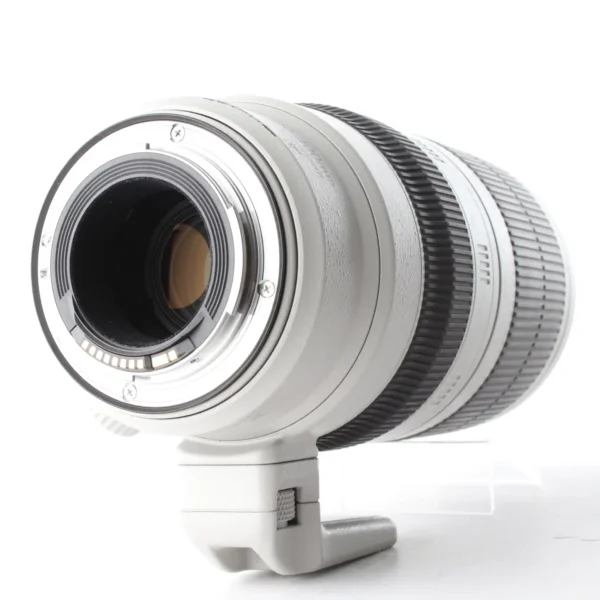 CANON EF 100-400MM F/4.5-5.6 L IS II USM – Image 4