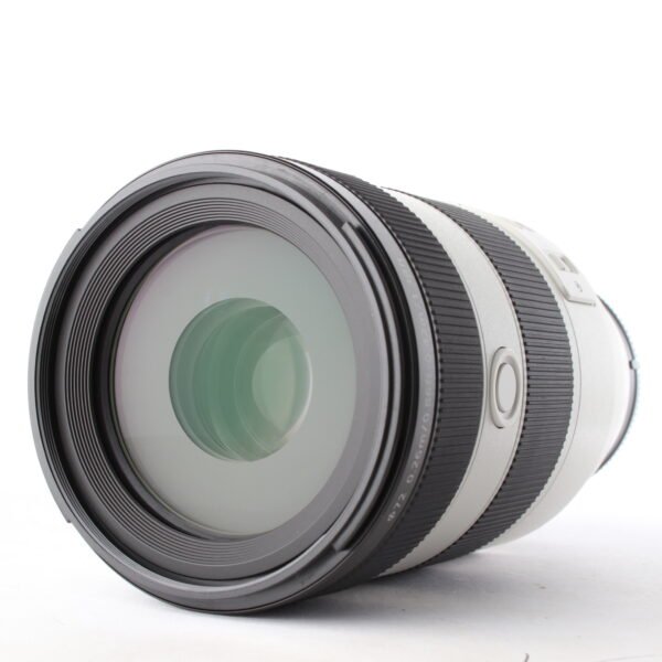 SONY FE 70-200 F/4 G OSS II MACRO – Image 4