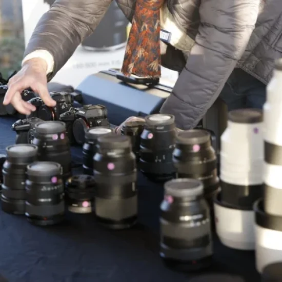 événement flamant rose 2024