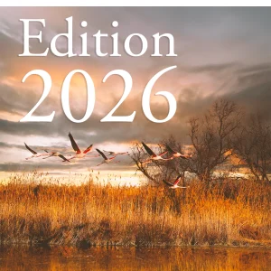 Week-end Flamants Roses 2026 (reporté cause intempéries: date à venir)